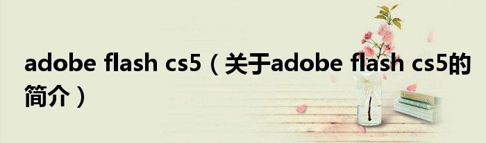 adobe flash cs5（關(guān)于adobe flash cs5的簡介）