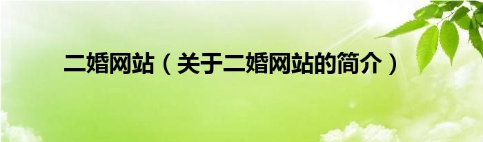 二婚網(wǎng)站（關于二婚網(wǎng)站的簡介）