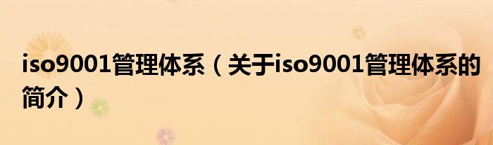 iso9001管理體系（關(guān)于iso9001管理體系的簡介）