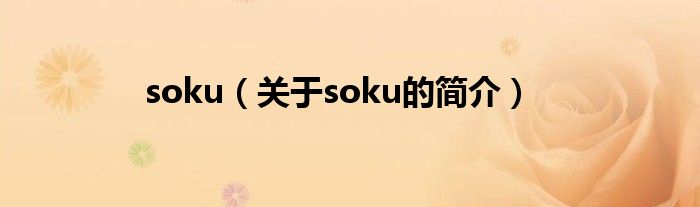 soku（關(guān)于soku的簡(jiǎn)介）