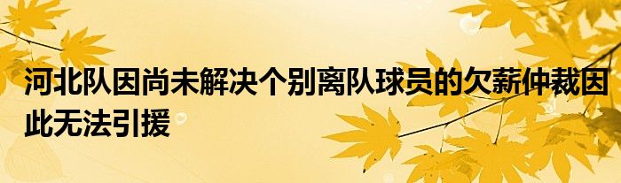 河北隊(duì)因尚未解決個(gè)別離隊(duì)球員的欠薪仲裁因此無法引援