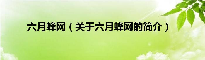 六月蜂網(wǎng)（關(guān)于六月蜂網(wǎng)的簡介）