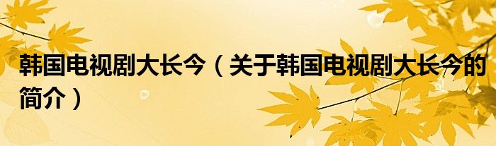 韓國電視劇大長今（關于韓國電視劇大長今的簡介）