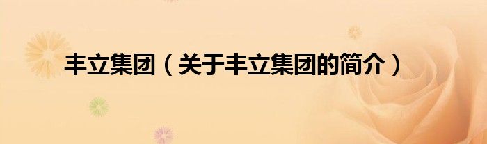 豐立集團(tuán)（關(guān)于豐立集團(tuán)的簡(jiǎn)介）