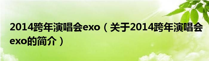 2014跨年演唱會(huì)exo（關(guān)于2014跨年演唱會(huì)exo的簡介）