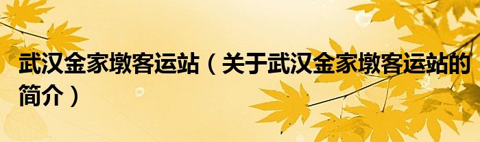 武漢金家墩客運站（關于武漢金家墩客運站的簡介）