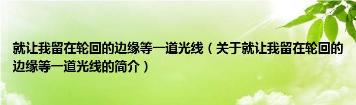 就讓我留在輪回的邊緣等一道光線（關于就讓我留在輪回的邊緣等一道光線的簡介）