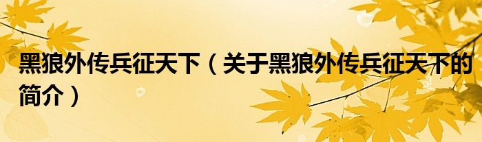 黑狼外傳兵征天下（關(guān)于黑狼外傳兵征天下的簡(jiǎn)介）