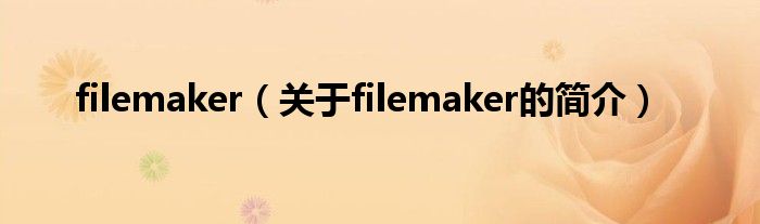 filemaker（關(guān)于filemaker的簡(jiǎn)介）