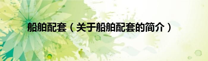 船舶配套（關(guān)于船舶配套的簡(jiǎn)介）