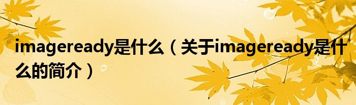 imageready是什么（關(guān)于imageready是什么的簡(jiǎn)介）