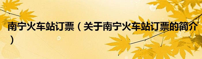 南寧火車站訂票（關(guān)于南寧火車站訂票的簡(jiǎn)介）