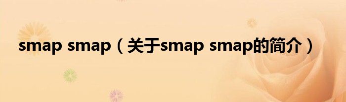 smap smap（關(guān)于smap smap的簡(jiǎn)介）