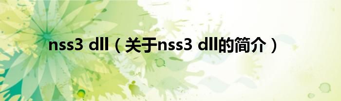 nss3 dll（關(guān)于nss3 dll的簡(jiǎn)介）