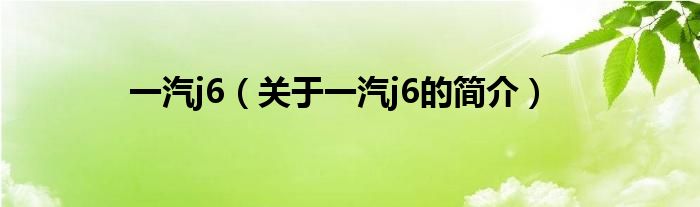 一汽j6（關(guān)于一汽j6的簡(jiǎn)介）