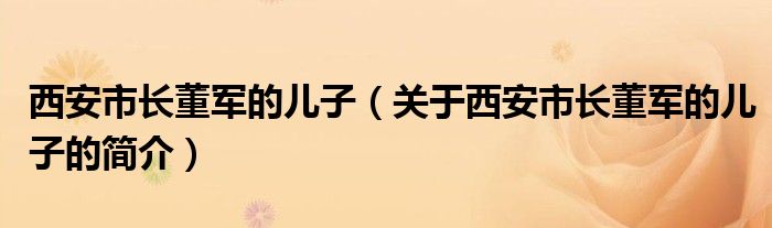 西安市長董軍的兒子（關于西安市長董軍的兒子的簡介）