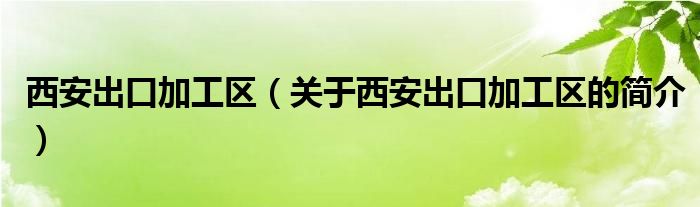 西安出口加工區(qū)（關(guān)于西安出口加工區(qū)的簡介）