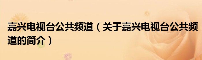 嘉興電視臺公共頻道（關于嘉興電視臺公共頻道的簡介）