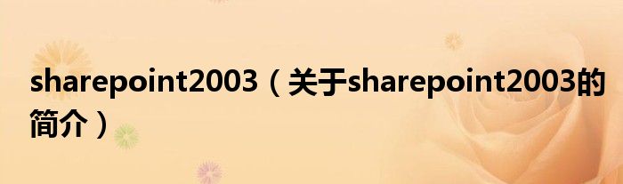 sharepoint2003（關(guān)于sharepoint2003的簡介）