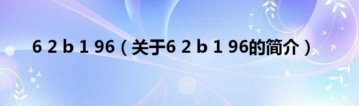 6 2 b 1 96（關(guān)于6 2 b 1 96的簡介）