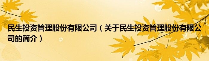 民生投資管理股份有限公司（關(guān)于民生投資管理股份有限公司的簡介）