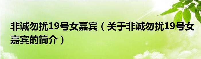 非誠勿擾19號女嘉賓（關(guān)于非誠勿擾19號女嘉賓的簡介）