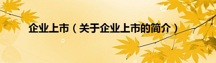 企業(yè)上市（關于企業(yè)上市的簡介）