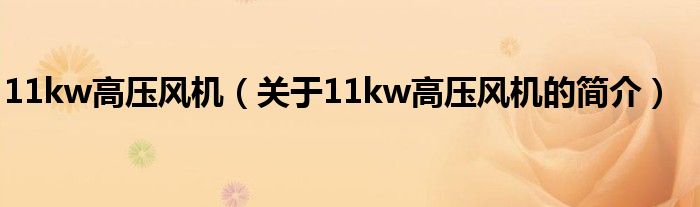 11kw高壓風(fēng)機(jī)（關(guān)于11kw高壓風(fēng)機(jī)的簡(jiǎn)介）