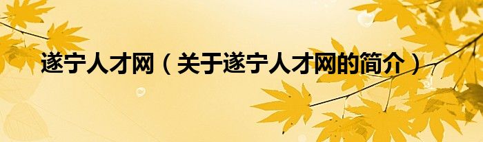 遂寧人才網(wǎng)（關(guān)于遂寧人才網(wǎng)的簡(jiǎn)介）