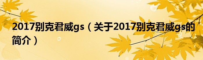 2017別克君威gs（關(guān)于2017別克君威gs的簡(jiǎn)介）