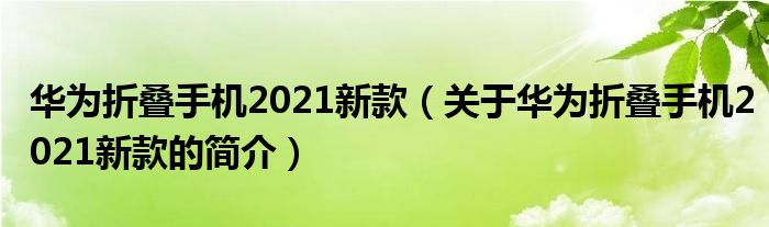 華為折疊手機(jī)2021新款（關(guān)于華為折疊手機(jī)2021新款的簡(jiǎn)介）