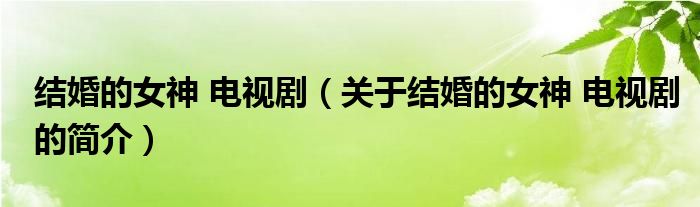 結(jié)婚的女神 電視?。P(guān)于結(jié)婚的女神 電視劇的簡(jiǎn)介）