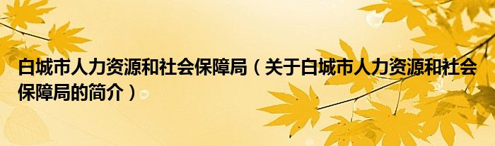 白城市人力資源和社會(huì)保障局（關(guān)于白城市人力資源和社會(huì)保障局的簡介）