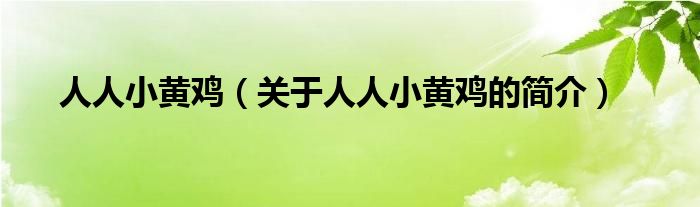 人人小黃雞（關(guān)于人人小黃雞的簡介）