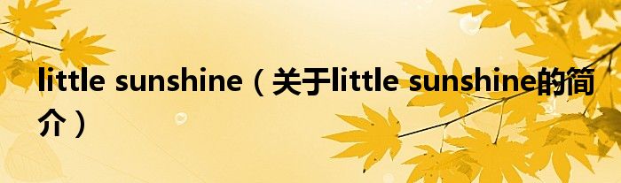 little sunshine（關于little sunshine的簡介）