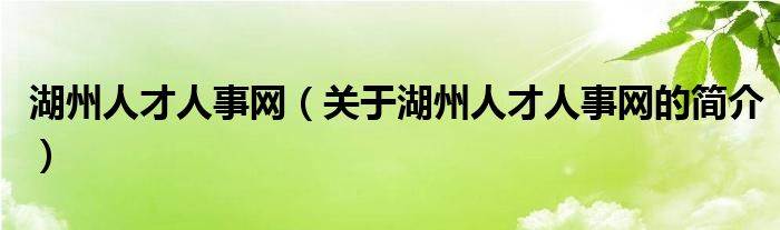 湖州人才人事網（關于湖州人才人事網的簡介）