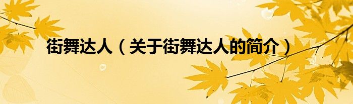 街舞達人（關(guān)于街舞達人的簡介）