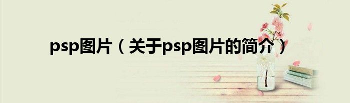 psp圖片（關(guān)于psp圖片的簡介）