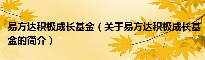 易方達積極成長基金（關(guān)于易方達積極成長基金的簡介）