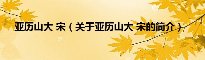 亞歷山大 宋（關(guān)于亞歷山大 宋的簡(jiǎn)介）