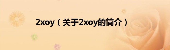 2xoy（關(guān)于2xoy的簡(jiǎn)介）