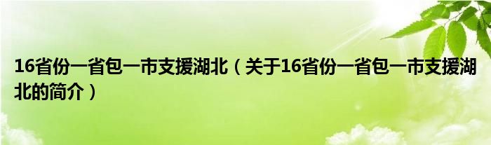 16省份一省包一市支援湖北（關于16省份一省包一市支援湖北的簡介）