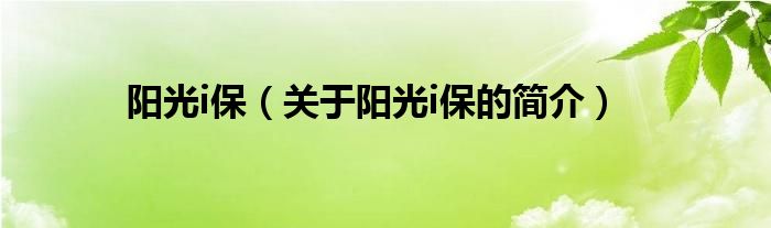 陽光i保（關(guān)于陽光i保的簡介）