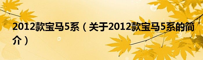 2012款寶馬5系（關于2012款寶馬5系的簡介）