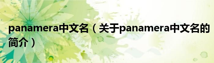 panamera中文名（關(guān)于panamera中文名的簡(jiǎn)介）