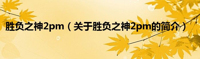 勝負之神2pm（關(guān)于勝負之神2pm的簡介）