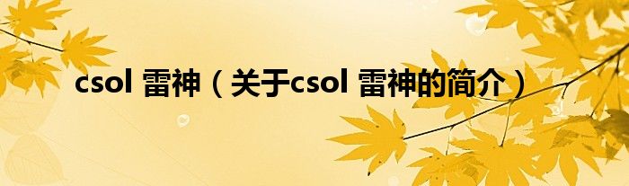 csol 雷神（關(guān)于csol 雷神的簡(jiǎn)介）