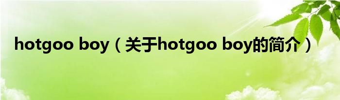 hotgoo boy（關于hotgoo boy的簡介）