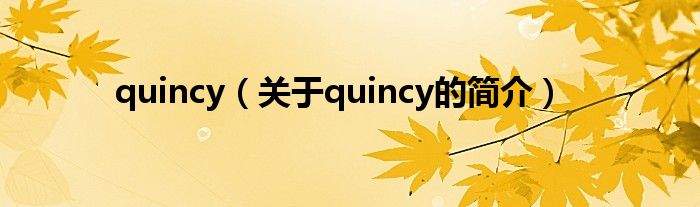 quincy（關于quincy的簡介）