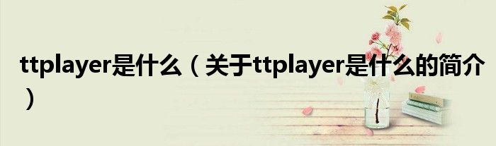 ttplayer是什么（關(guān)于ttplayer是什么的簡(jiǎn)介）